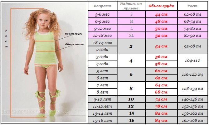 Что обозначают буквенные маркировка для одежды: s, м, l, xl, xxl